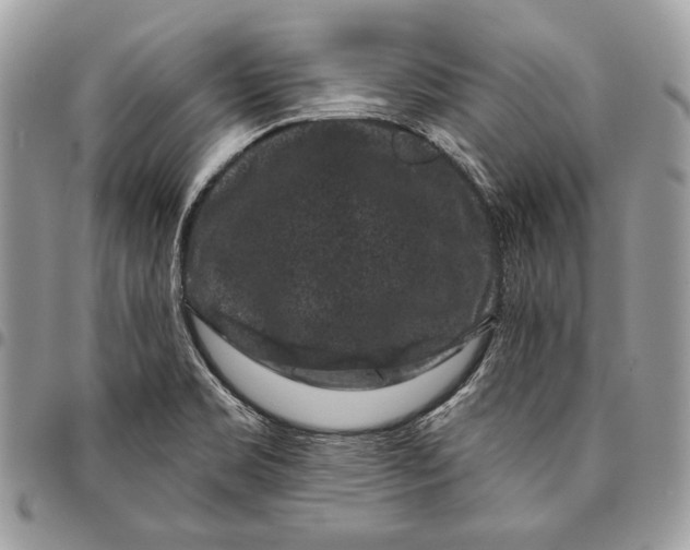 X0000096131469200802081314