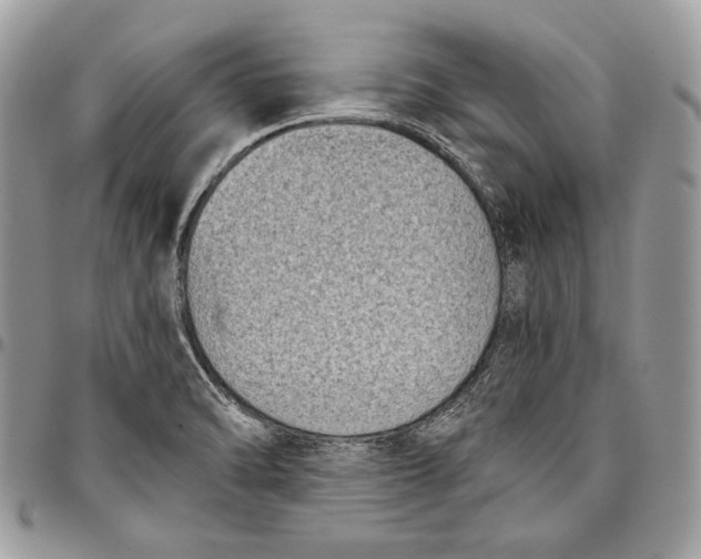 X0000096131470200802081314