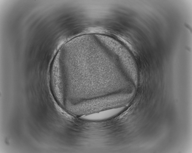 X0000096131471200802081314