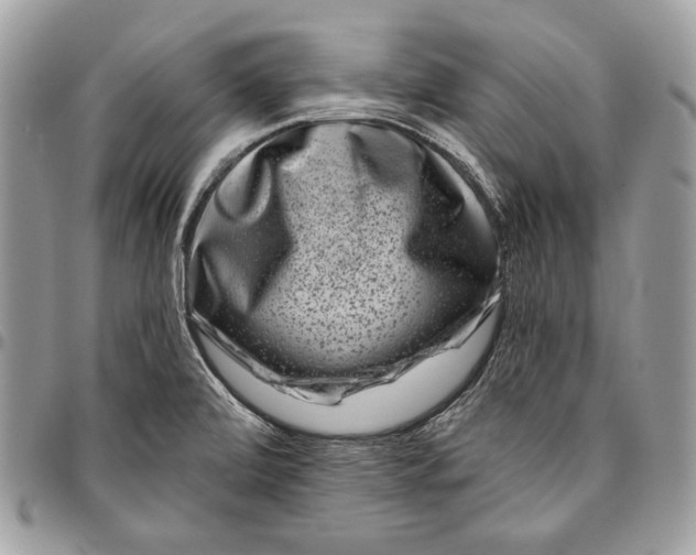 X0000096131472200802081314