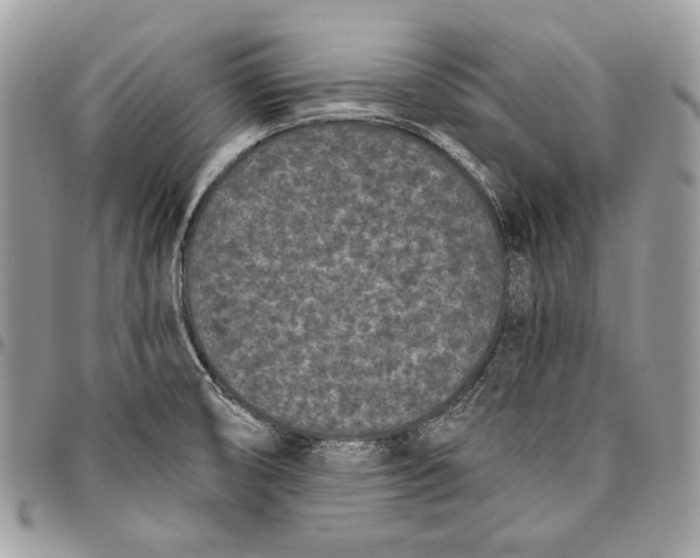 X0000096131474200802081314