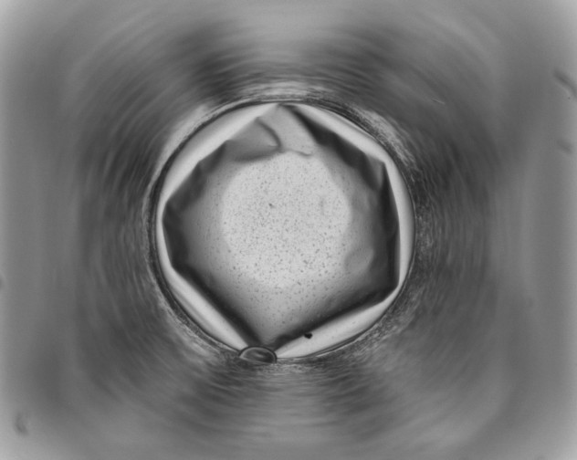 X0000096131475200802081314