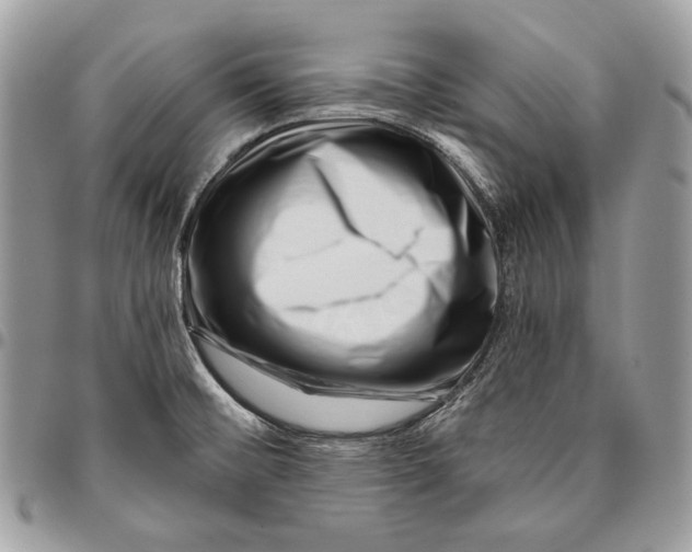 X0000096131476200802081314
