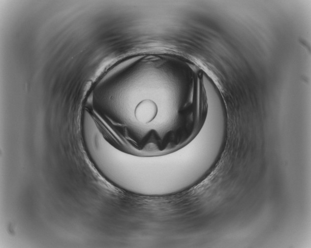 X0000096131477200802081314