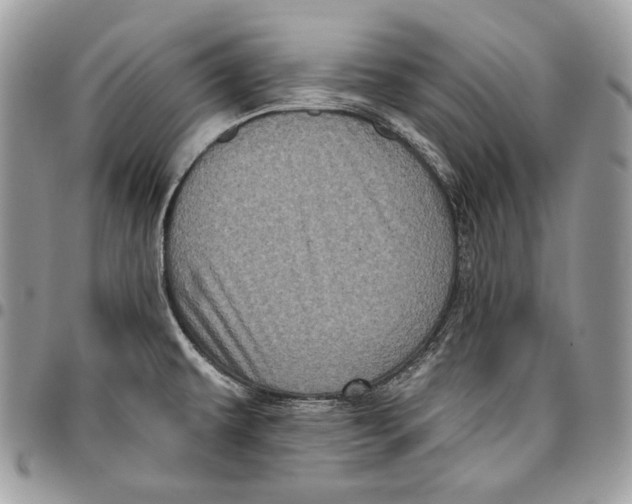 X0000096131479200802081314