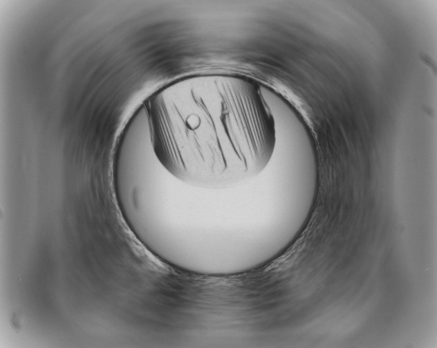 X0000096131480200802081314