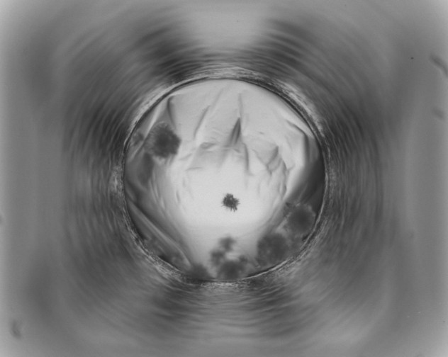 X0000096131481200802081314
