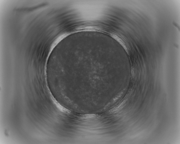 X0000096131482200802081314