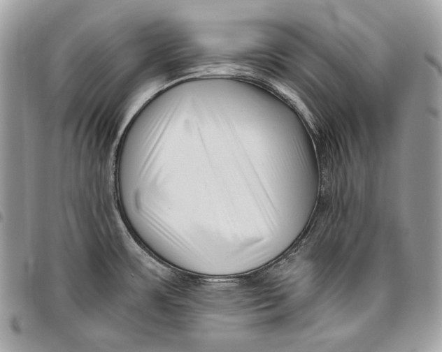 X0000096131483200802081314