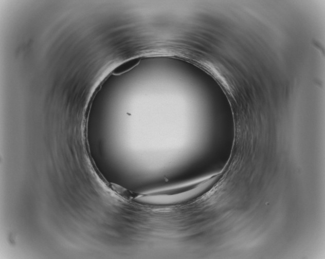 X0000096131484200802081314