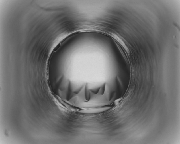 X0000096131485200802081314