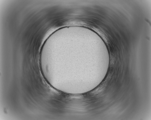 X0000096131486200802081314