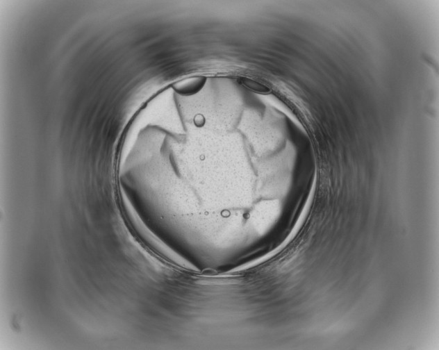 X0000096131487200802081314