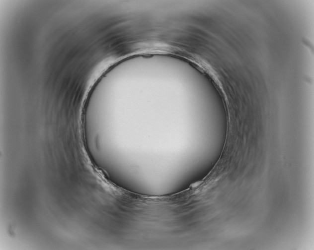 X0000096131488200802081314