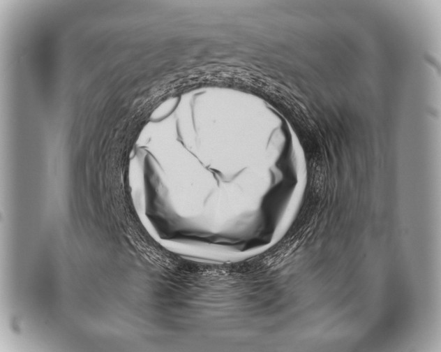 X0000096131489200802081313