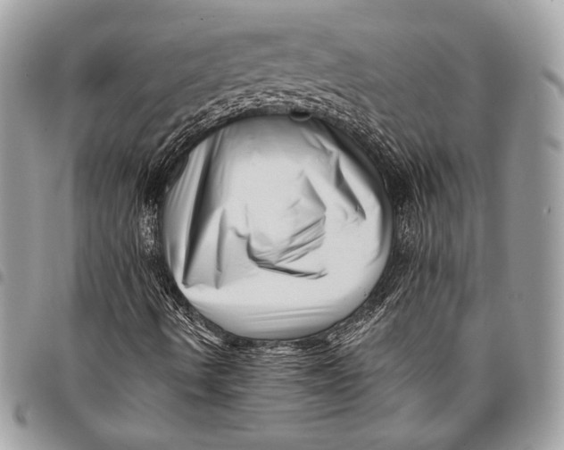 X0000096131490200802081313