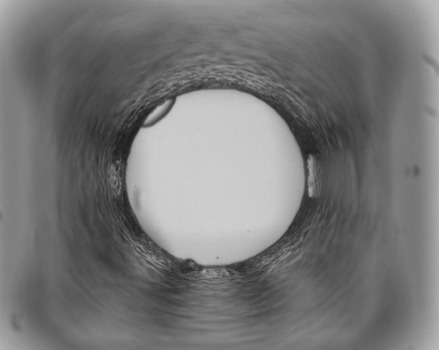 X0000096131491200802081313