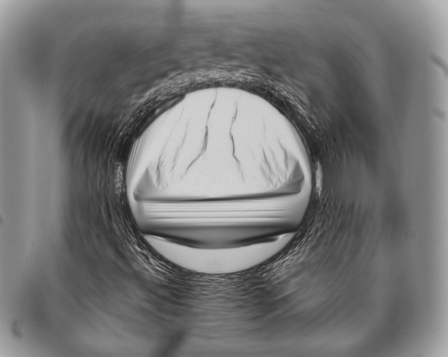 X0000096131492200802081313