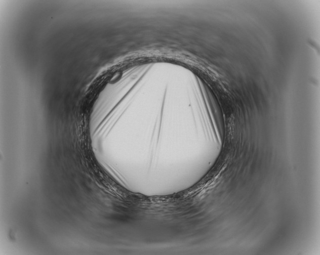 X0000096131494200802081313