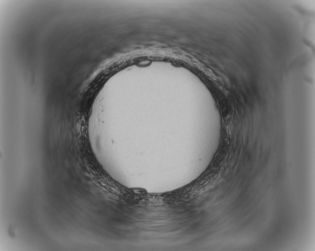 X0000096131495200802081313
