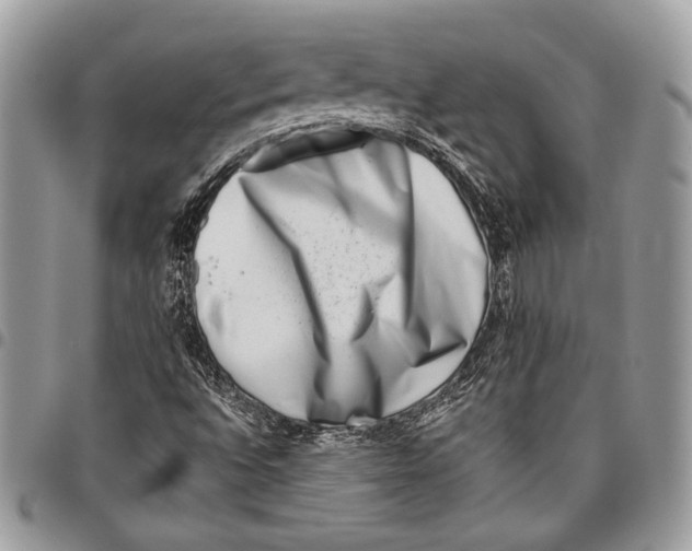 X0000096131496200802081313