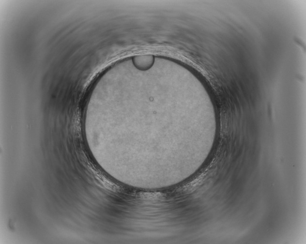 X0000096131498200802081313