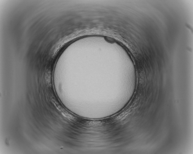 X0000096131499200802081313