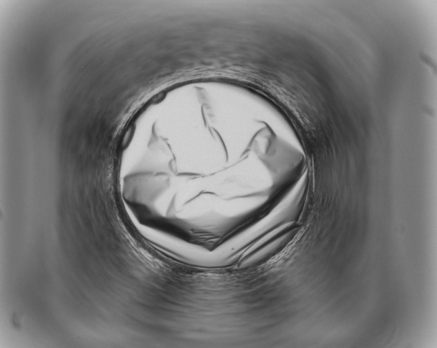 X0000096131500200802081313