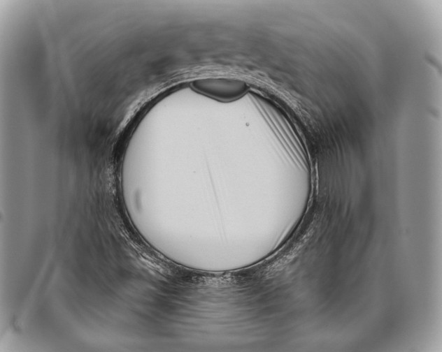 X0000096131501200802081313