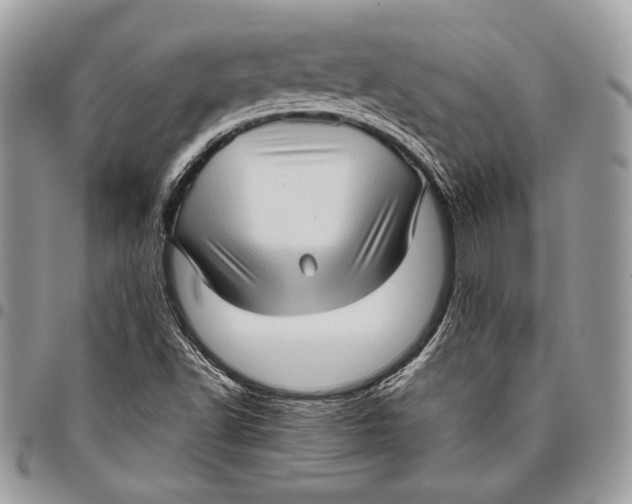 X0000096131502200802081313