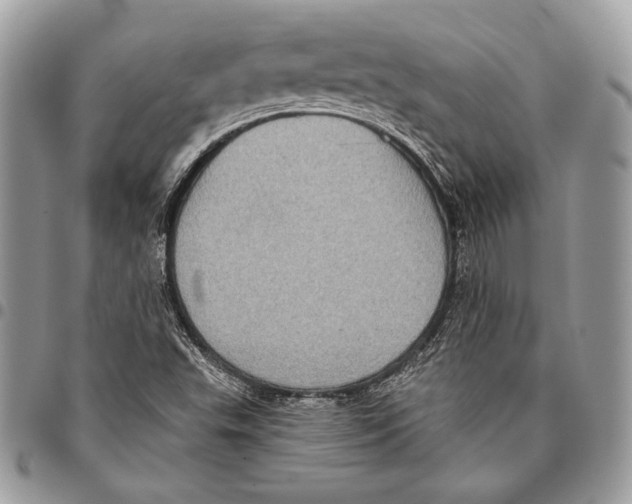 X0000096131503200802081313
