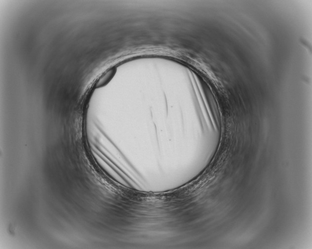 X0000096131504200802081313