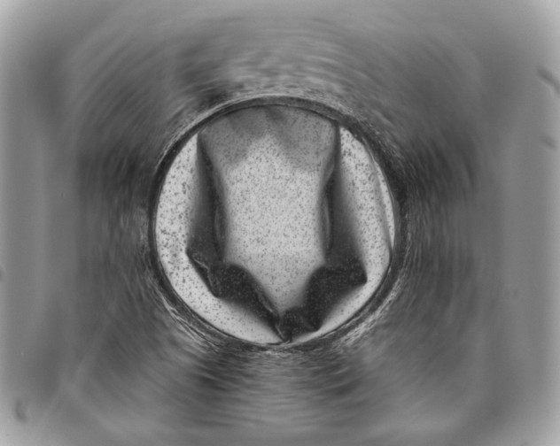 X0000096131505200802081313