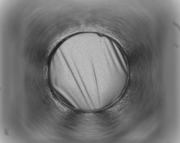 X0000096131507200802081313