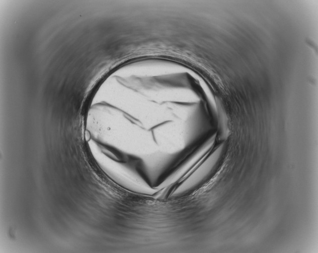X0000096131509200802081313