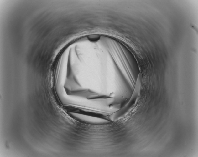 X0000096131510200802081313