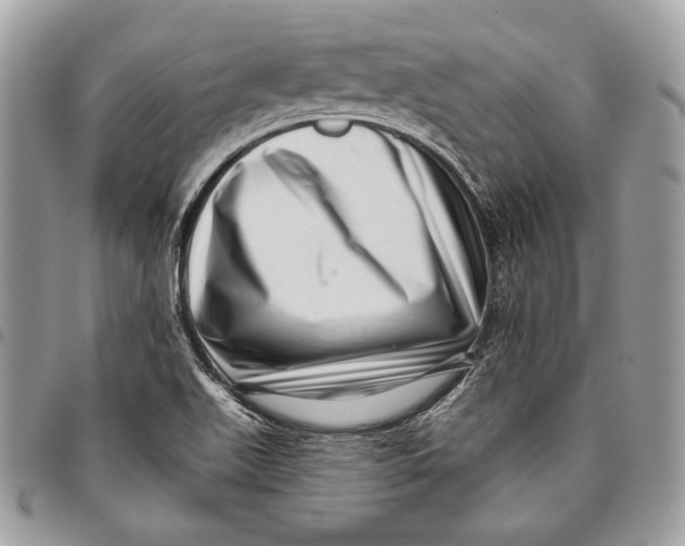 X0000096131511200802081313
