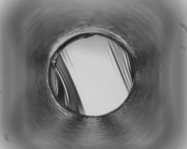 X0000096131512200802081313