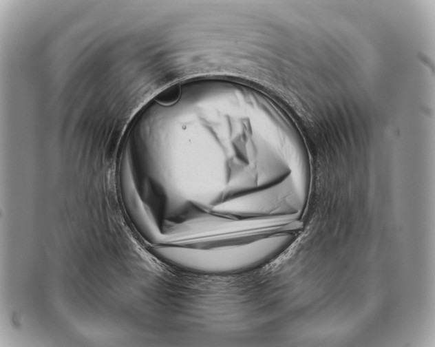 X0000096131513200802081313