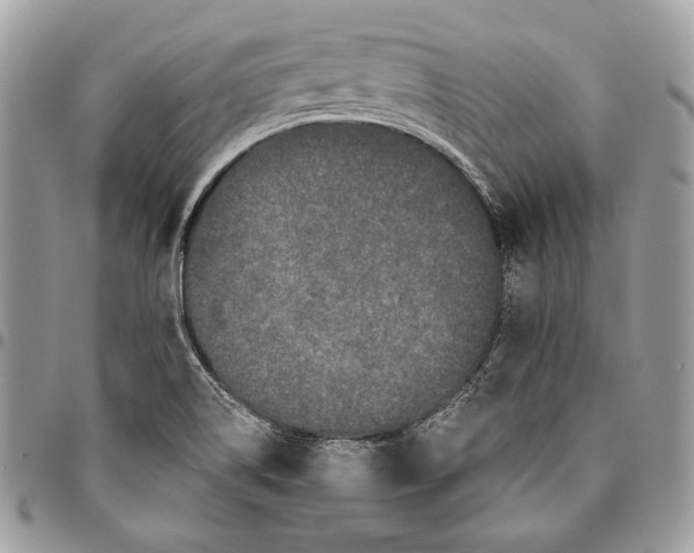 X0000096131514200802081313