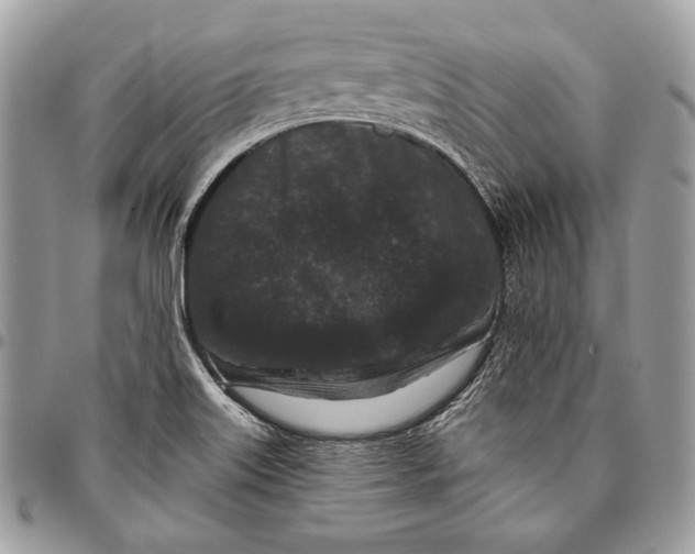 X0000096131515200802081313