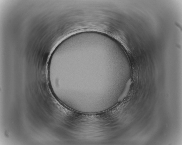 X0000096131516200802081314
