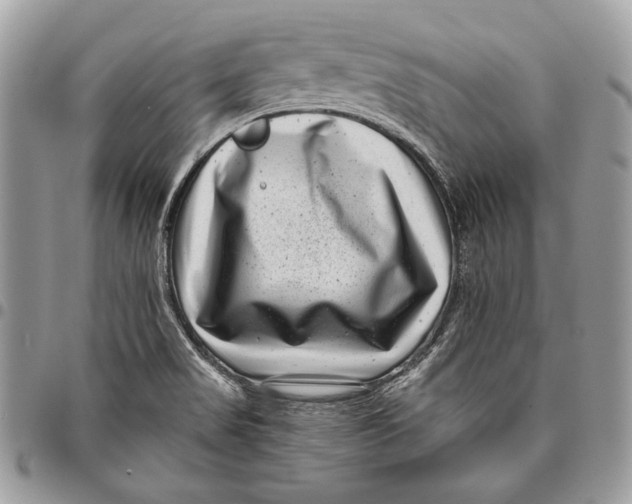 X0000096131517200802081314