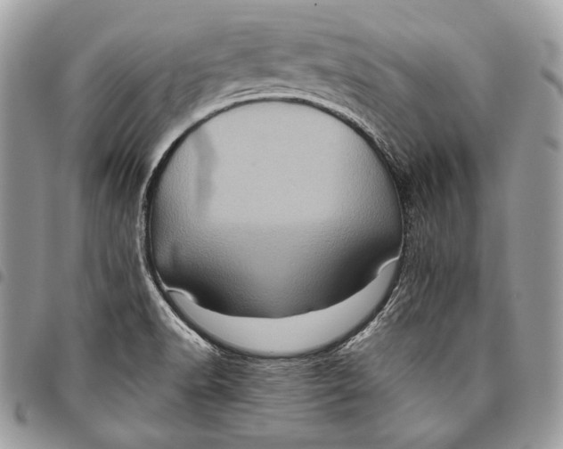 X0000096131518200802081314