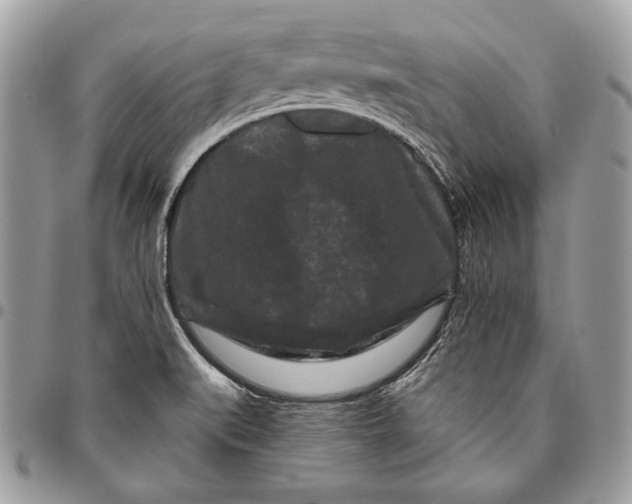 X0000096131519200802081314