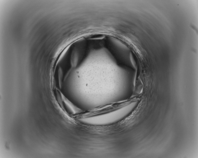 X0000096131520200802081314
