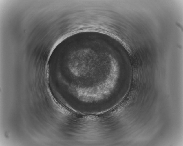 X0000096131522200802081314