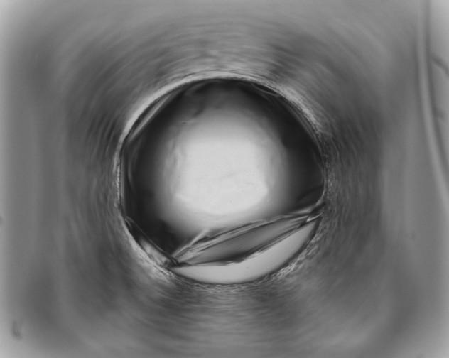 X0000096131524200802081314