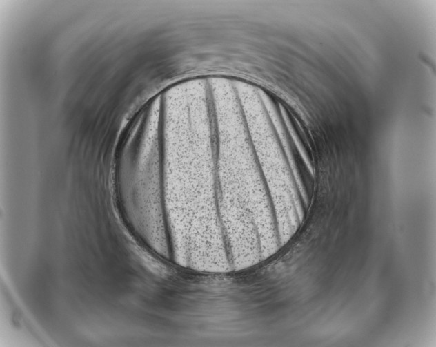 X0000096131525200802081314
