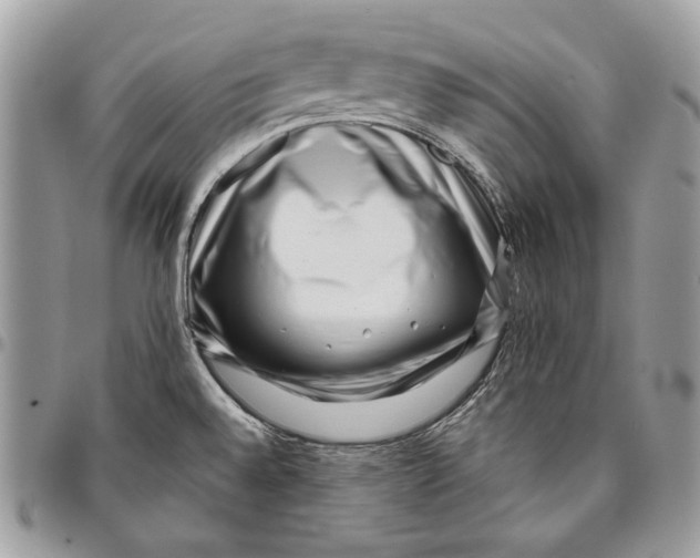 X0000096131528200802081314